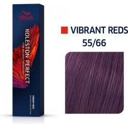 Vibrant Reds 55/66 Έντονο Καστανό Ανοιχτό Έντονο Βιολέ
