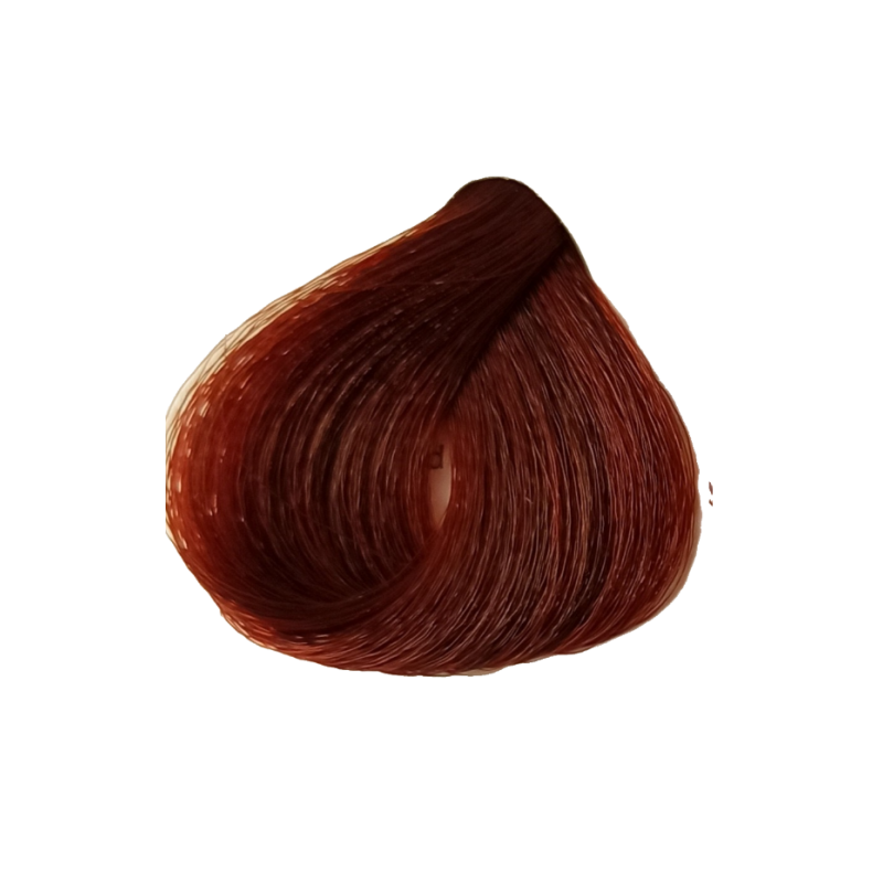 6566