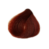 6566